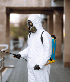 professional pest control services
